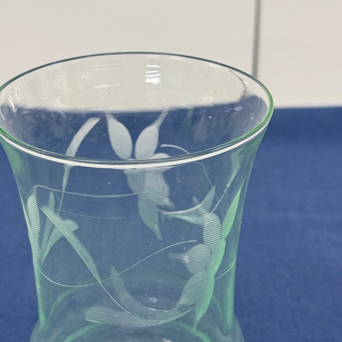 Pale Green Etched Leaf Glass Tumblers Set of 4