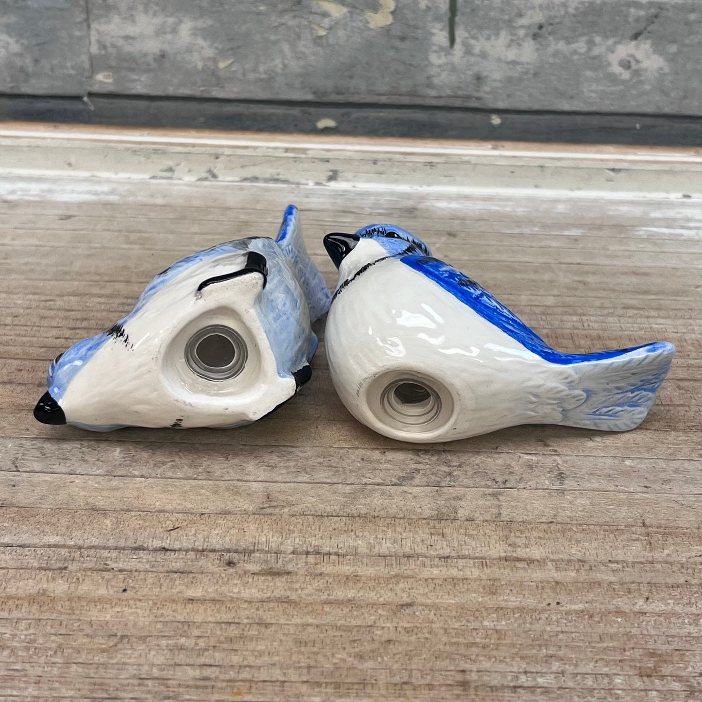 Blue Jay Salt & Pepper Shaker Set