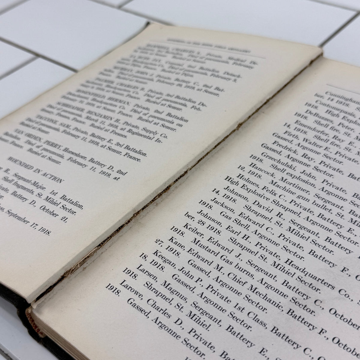 Memories of the 309th Field Artillery WWI Book 1920