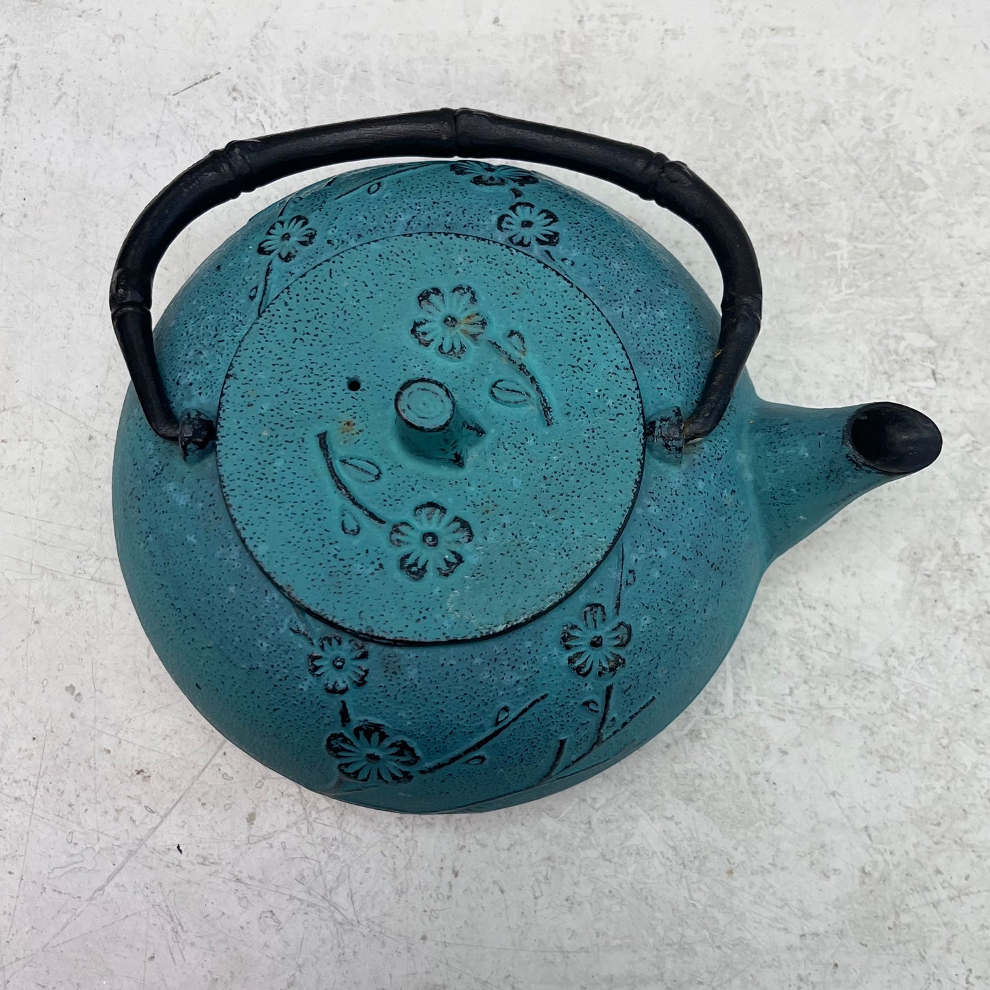 Tetsubin Cast Iron Tea Pot Selection