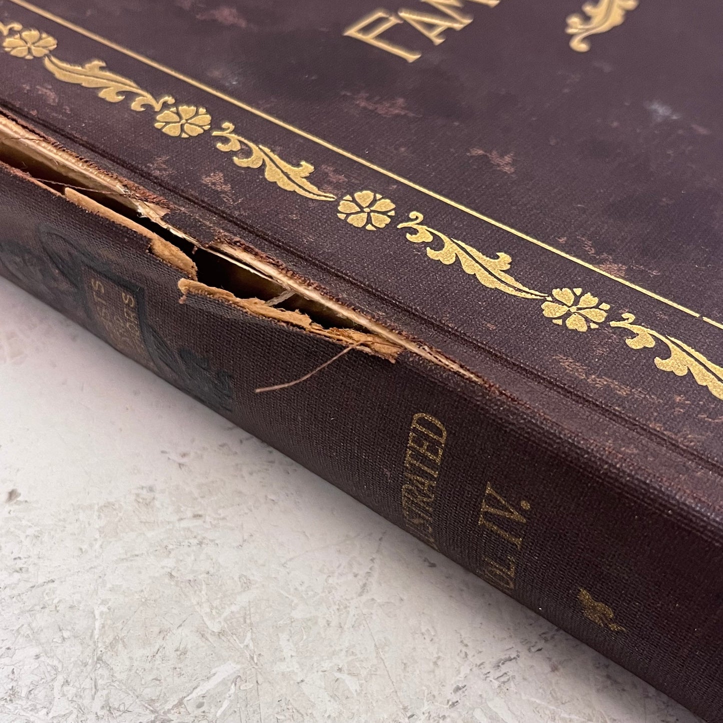 Great Men and Famous Women Illustrated 4 Volume Set, 1894