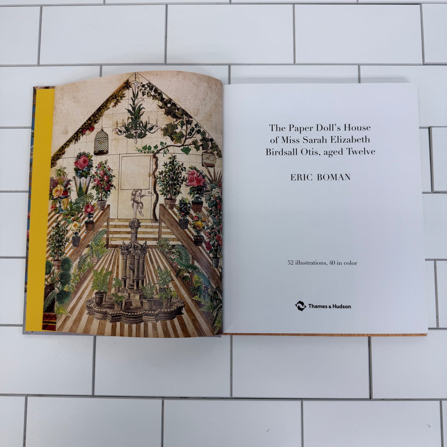 Eric Boman The Paper Doll’s House of Miss Sarah Elizabeth, 2014