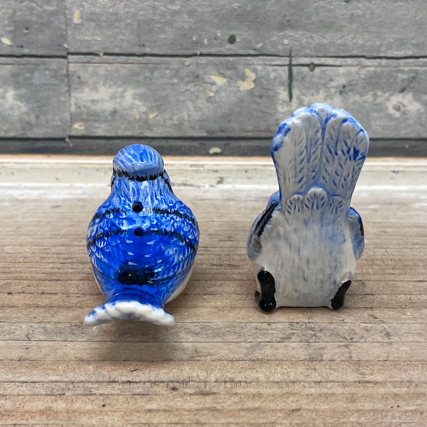 Blue Jay Salt & Pepper Shaker Set