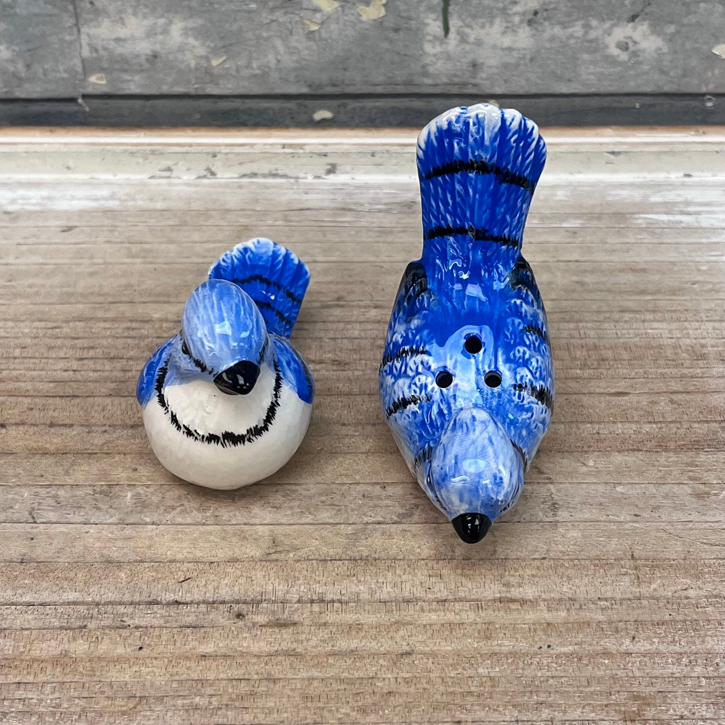 Blue Jay Salt & Pepper Shaker Set