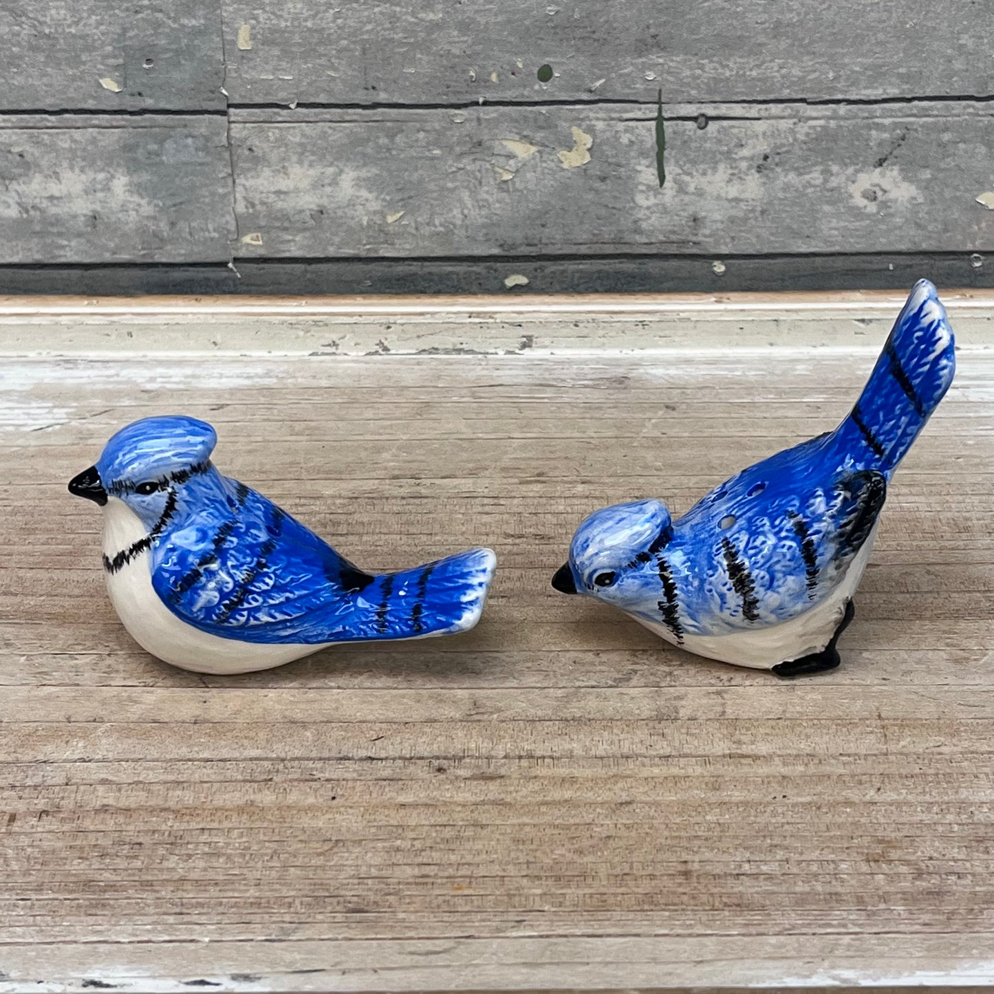 Blue Jay Salt & Pepper Shaker Set