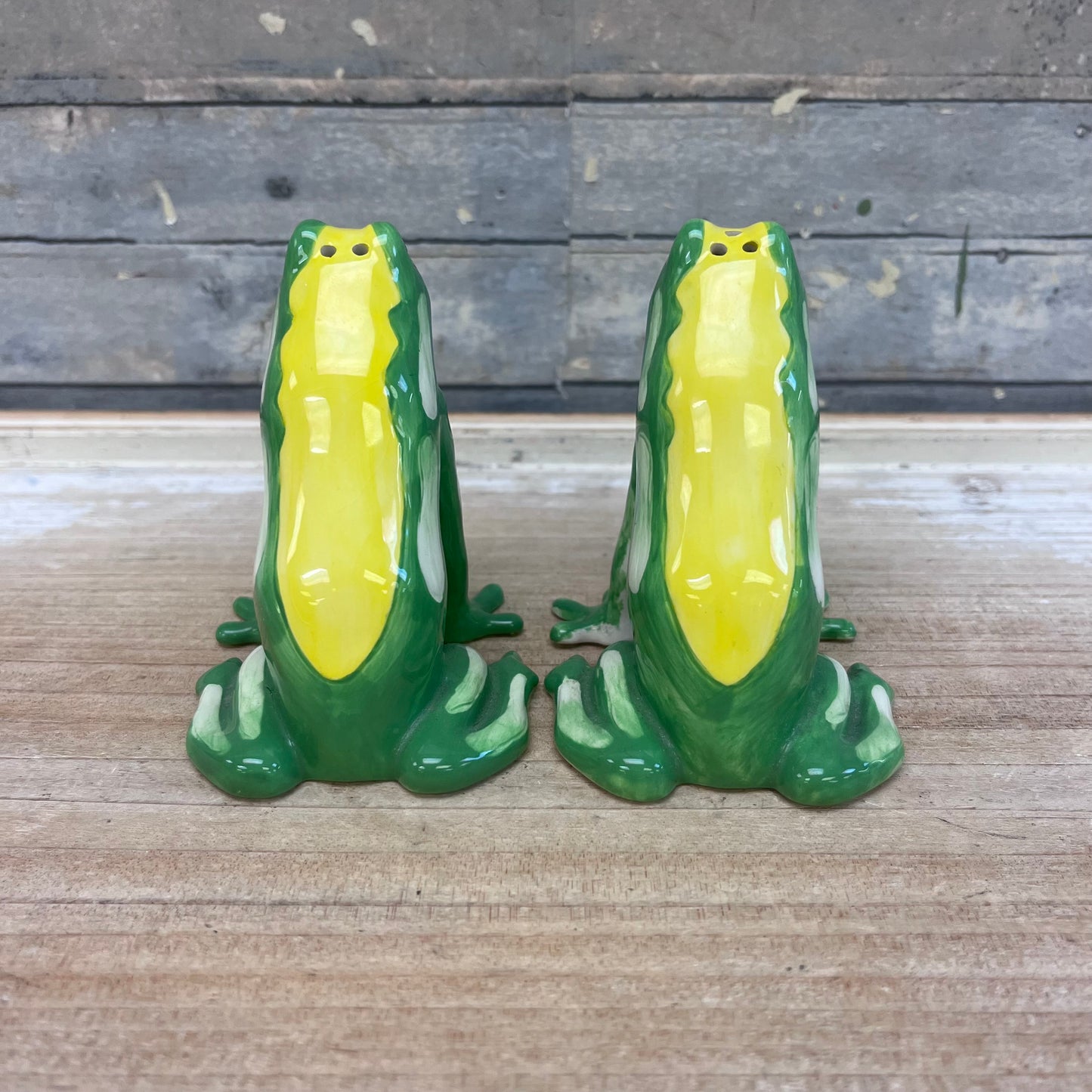 Frog Friends Salt & Pepper Set