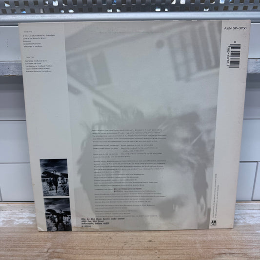 Sting The Dream of the Blue Turtles Vinyl Record, 1985