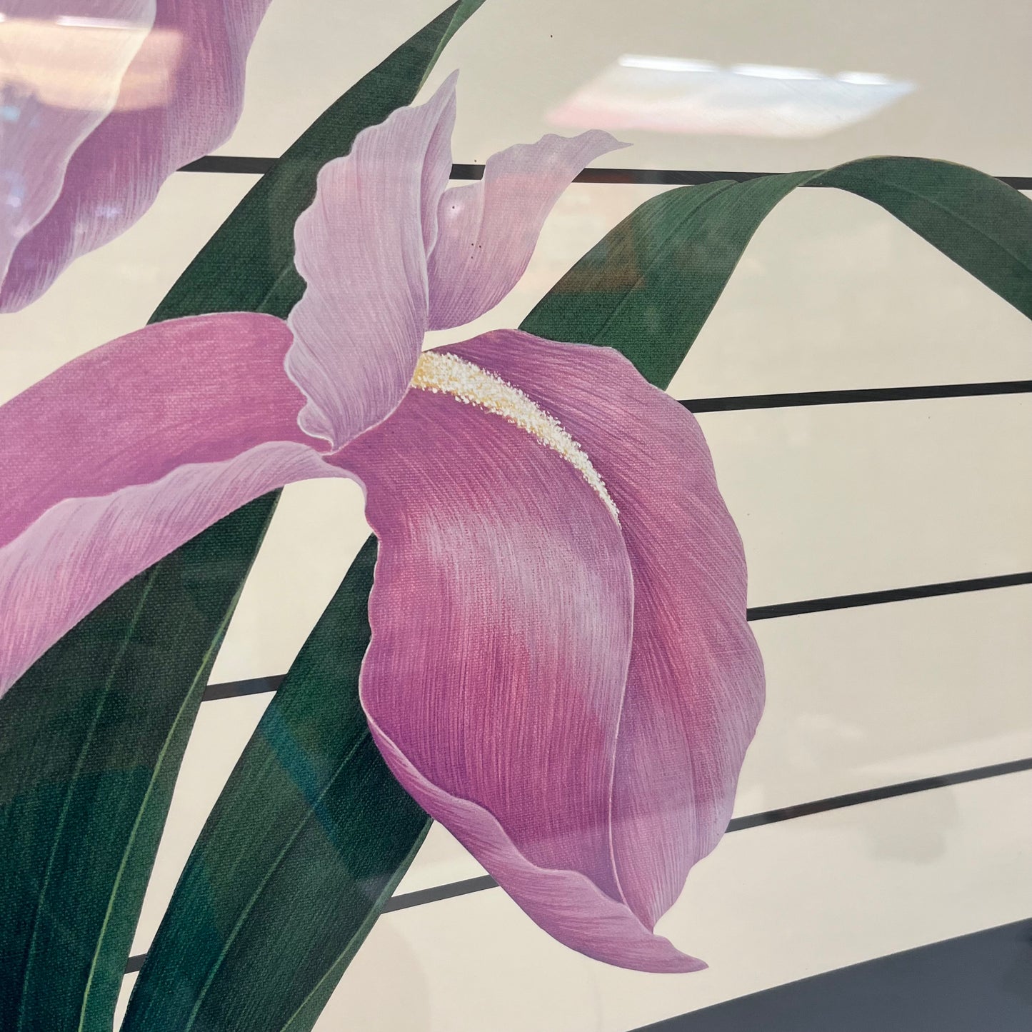 Ed Cota Discovery Galleries Floral Exhibition Poster