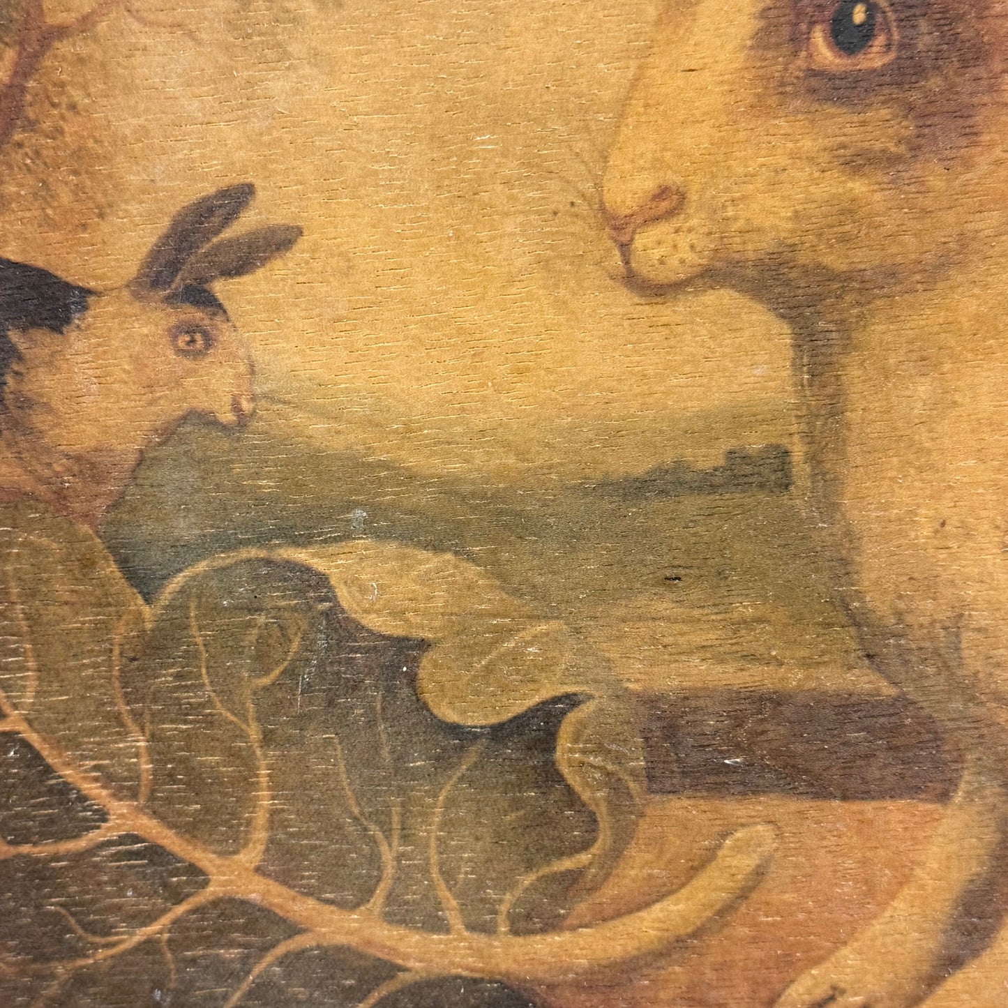 Mid Gordon English Rabbit II Framed Art on Wood 2001