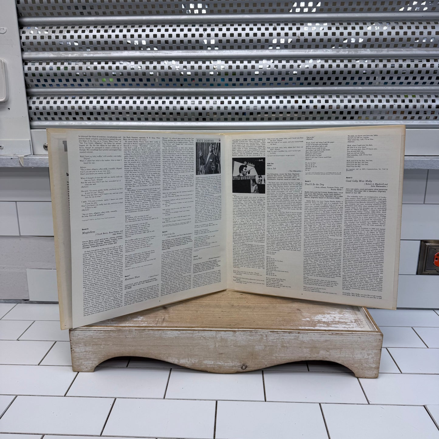 Shake, Rattle & Roll Rock ‘n’ Roll in the 1950s Vinyl Record 1978