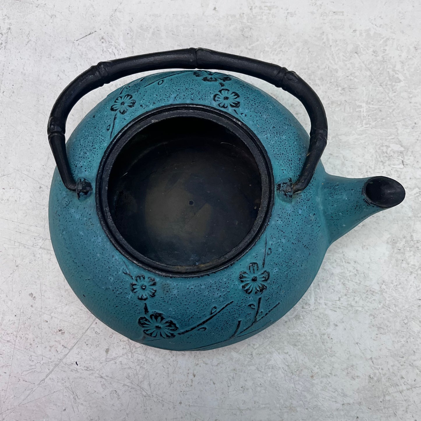 Tetsubin Cast Iron Tea Pot Selection
