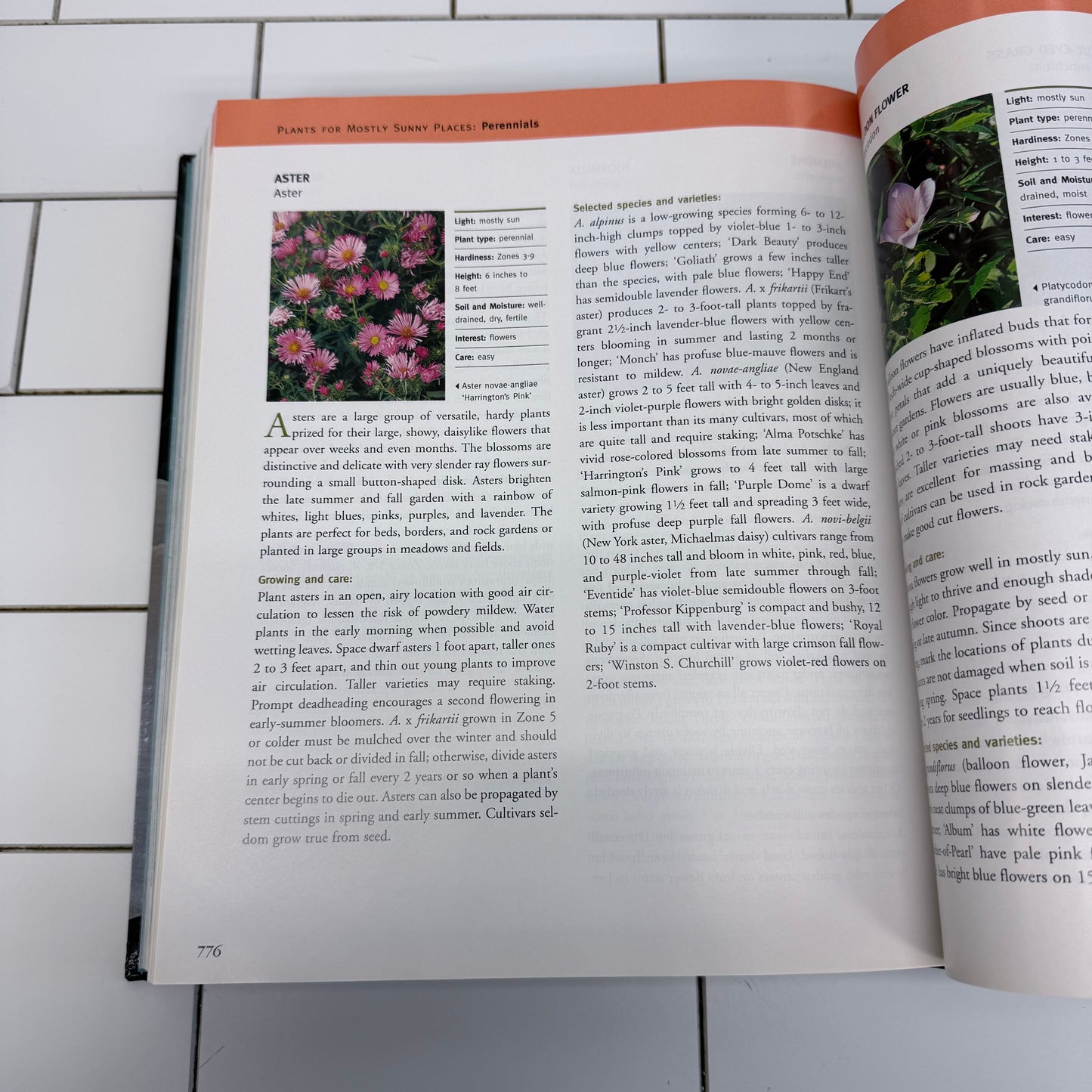 Time Life The Complete Gardening Guide, 2000