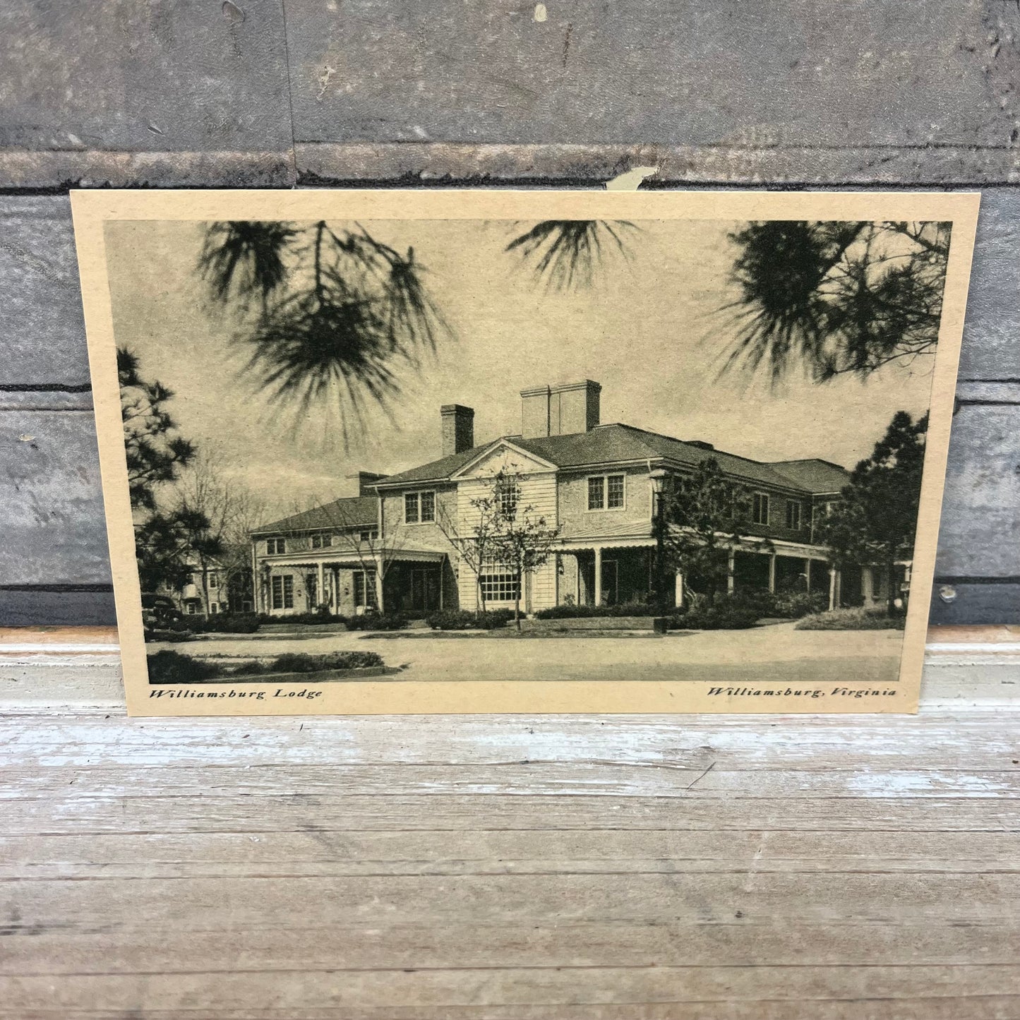 Williamsburg Lodge Postcard Set of 14, 1950s