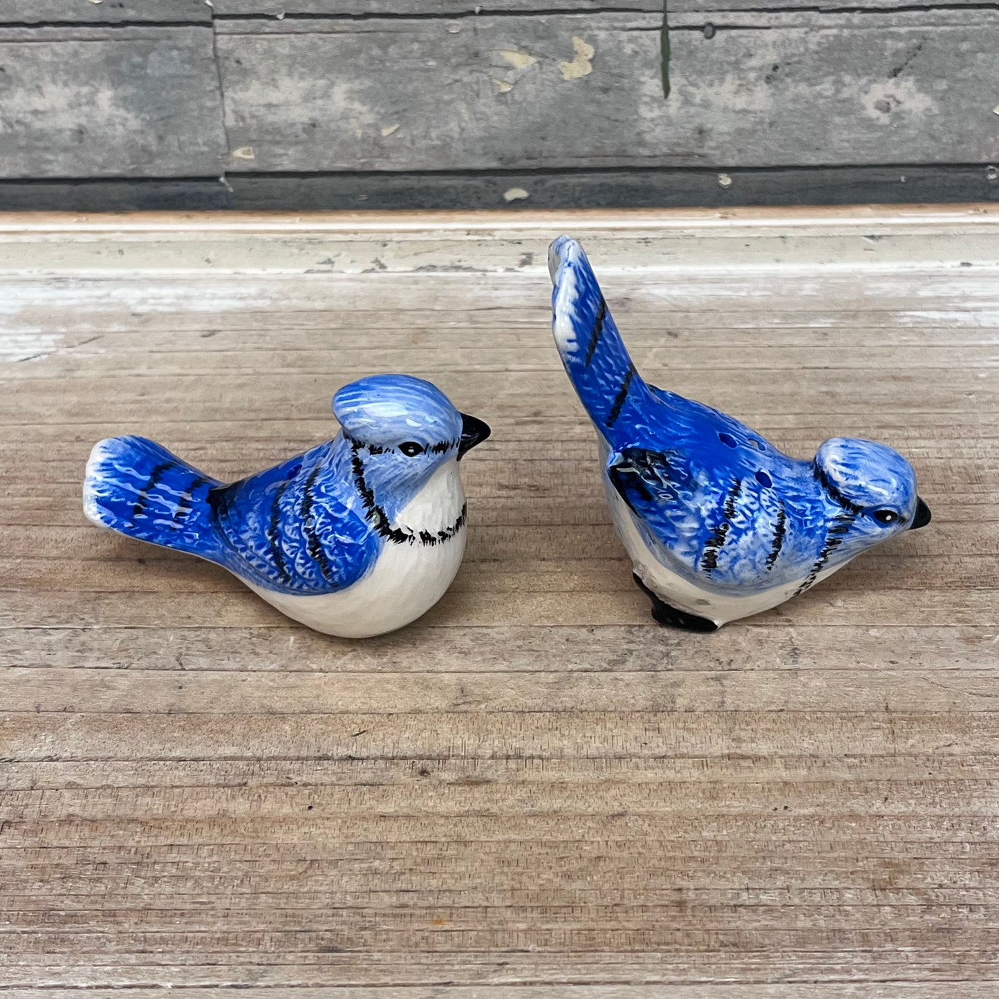 Blue Jay Salt & Pepper Shaker Set