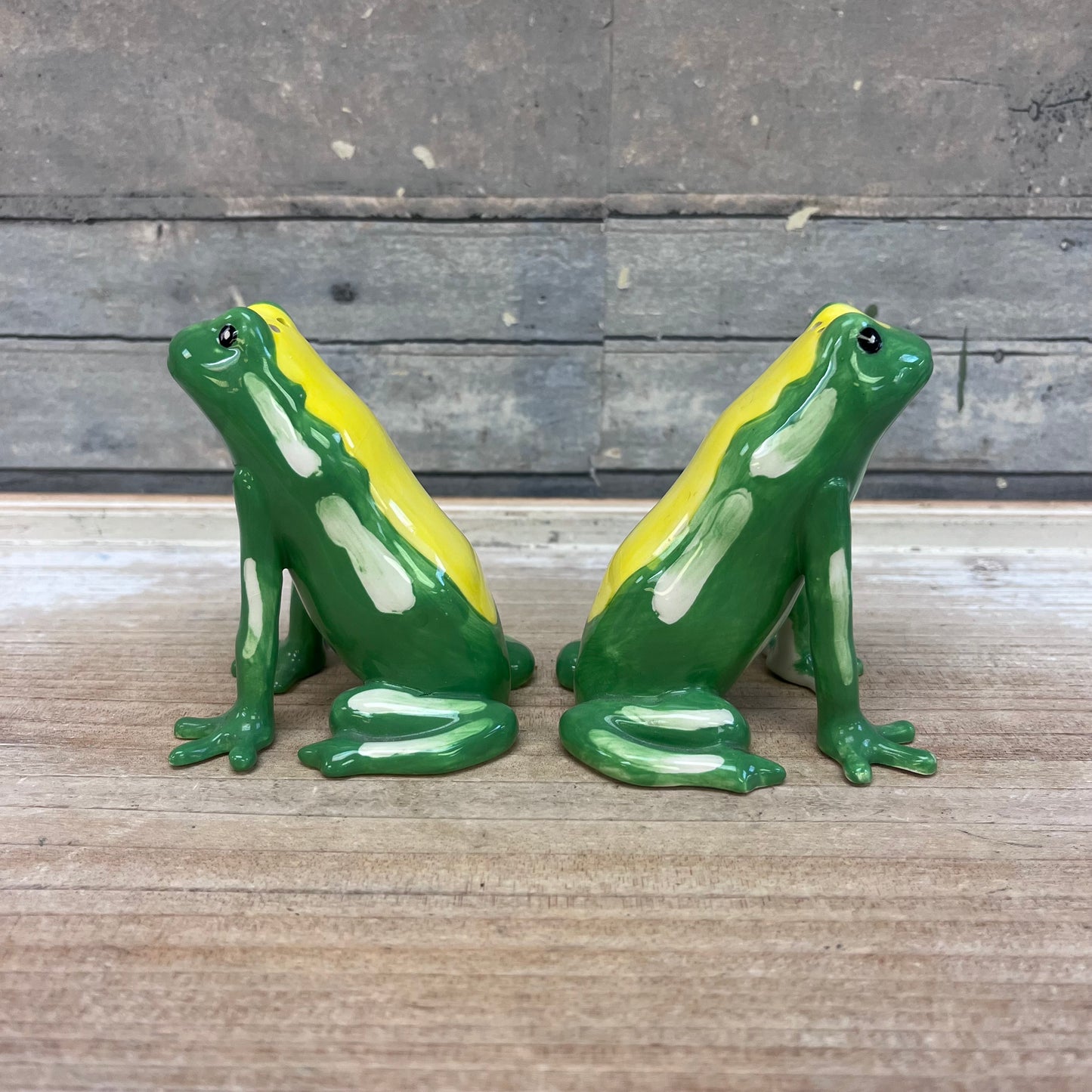 Frog Friends Salt & Pepper Set