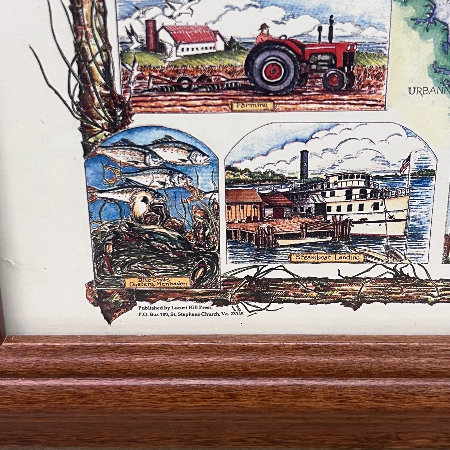 Ann Sader Northern Neck of Virginia Framed Art Print, 1997