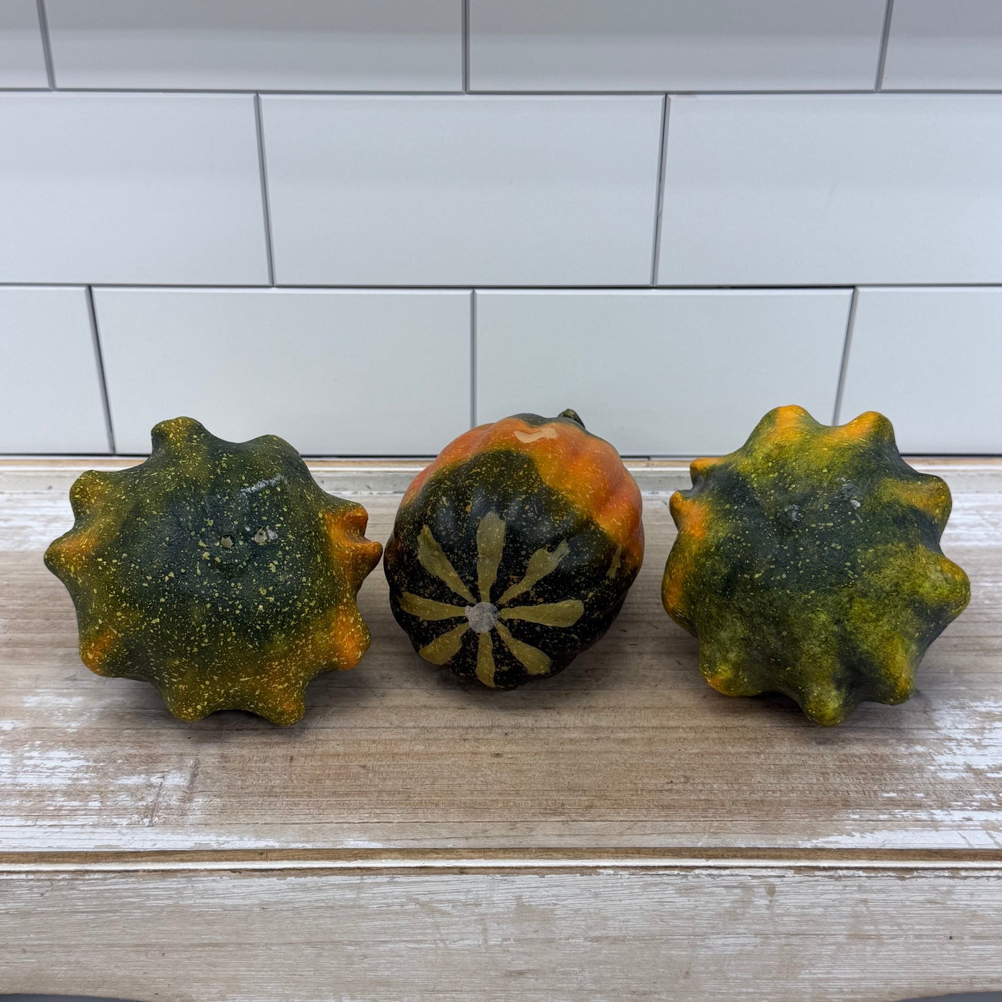 Autumn Decorative Gourds, Set of 6