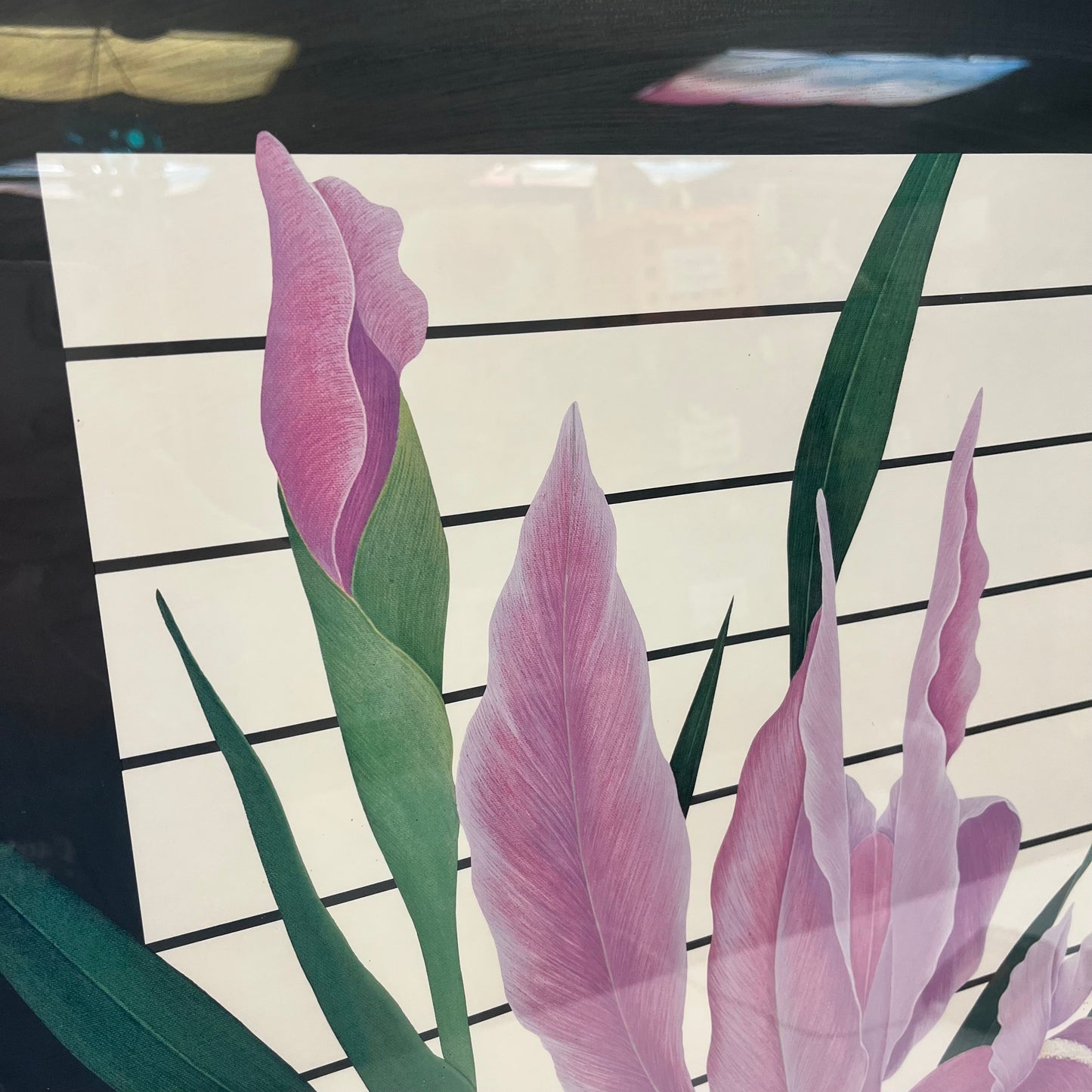 Ed Cota Discovery Galleries Floral Exhibition Poster