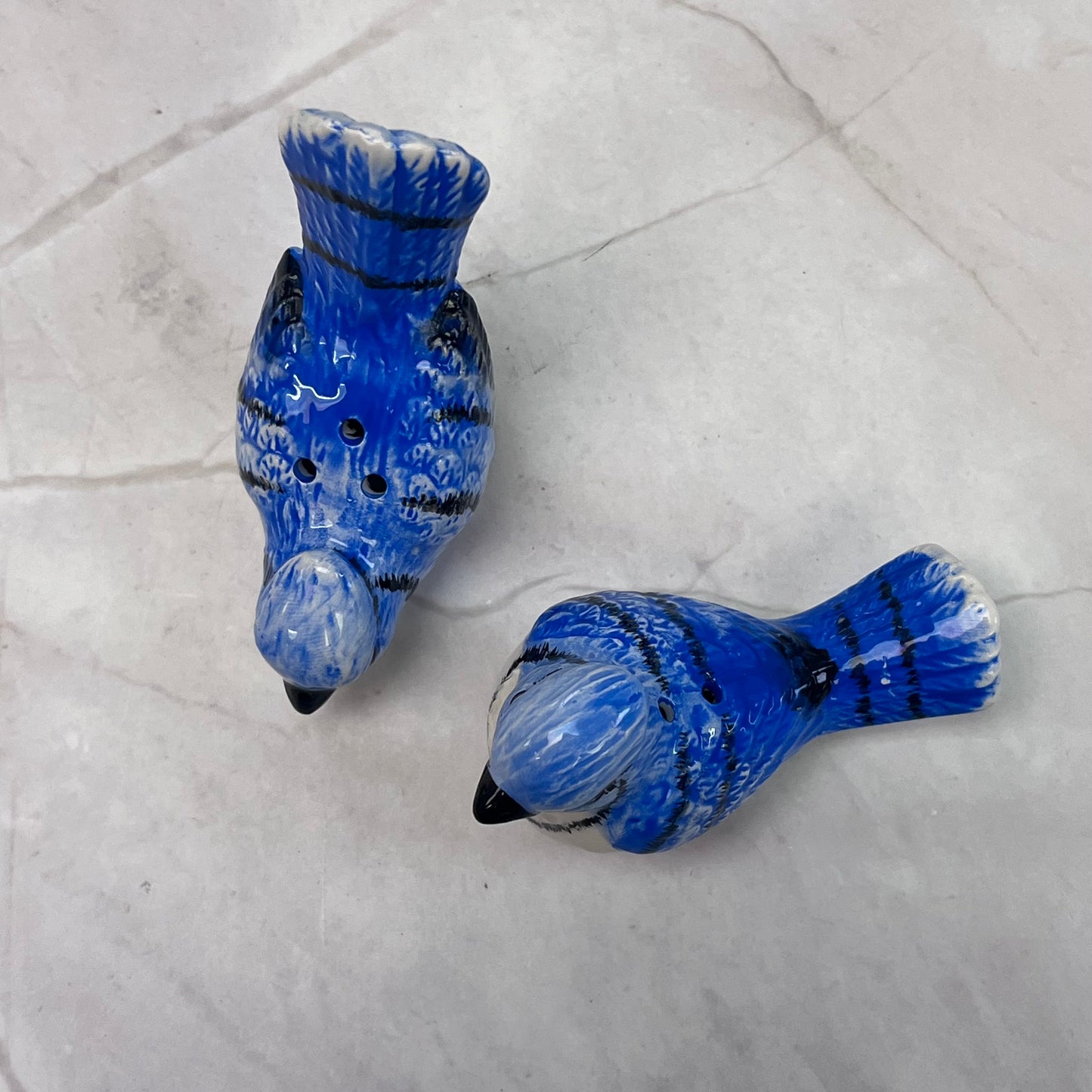 Blue Jay Salt & Pepper Shaker Set
