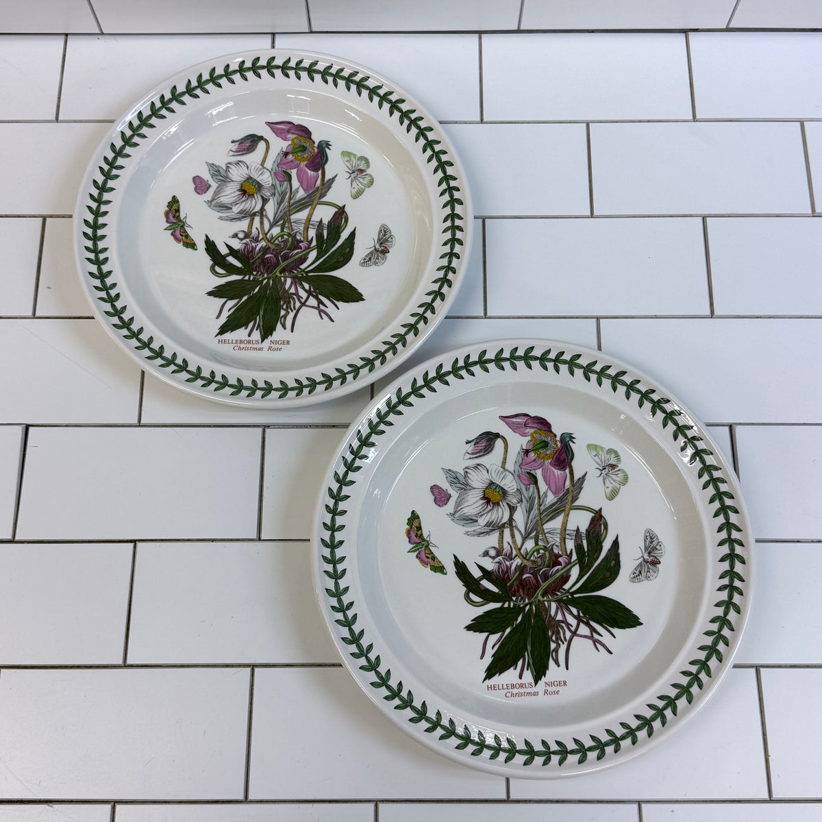 Portmeirion Botanic Garden Dinner Plates Set 2