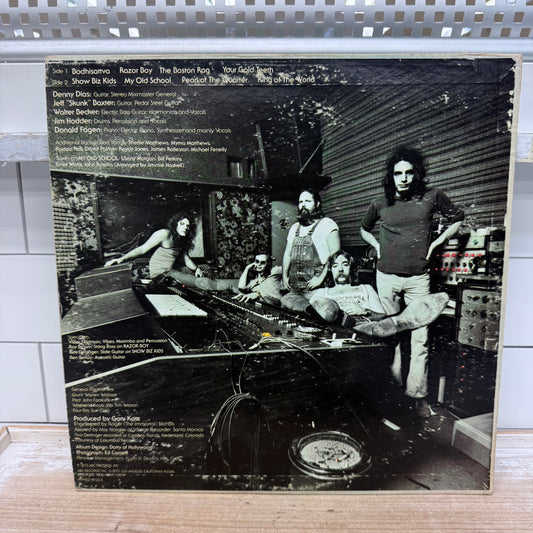 Steely Dan Countdown to Ecstasy Vinyl Record, 1973