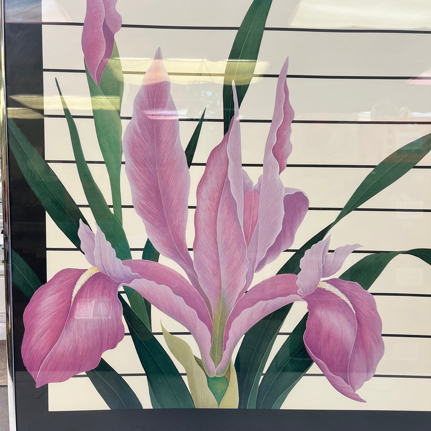 Ed Cota Discovery Galleries Floral Exhibition Poster
