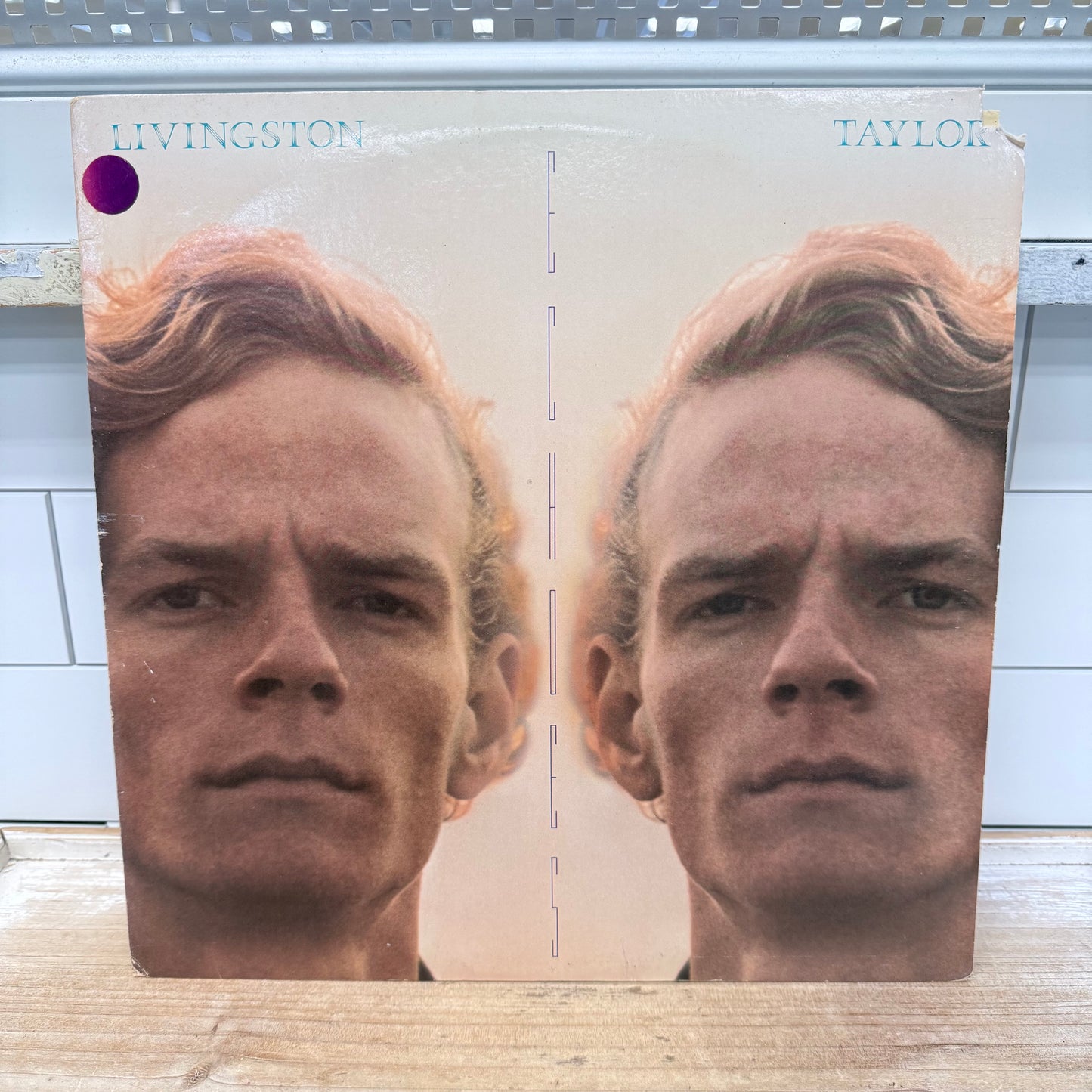 Livingston Taylor Echoes Vinyl Record LP 1979