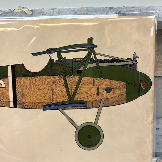 1917 Albatros D-V WWII Aircraft Print