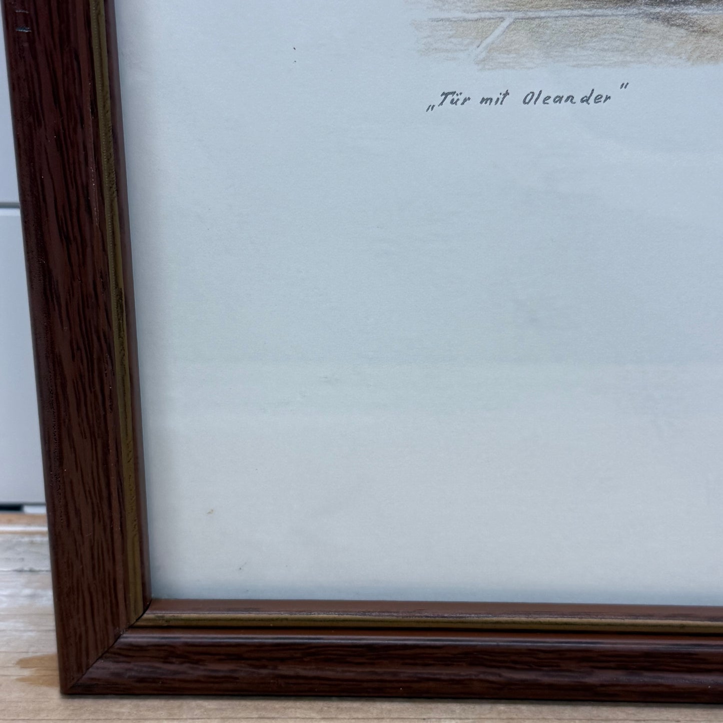 Leon Tür mit Oleander Cat & Garden Framed Art Print 1970s-1980s