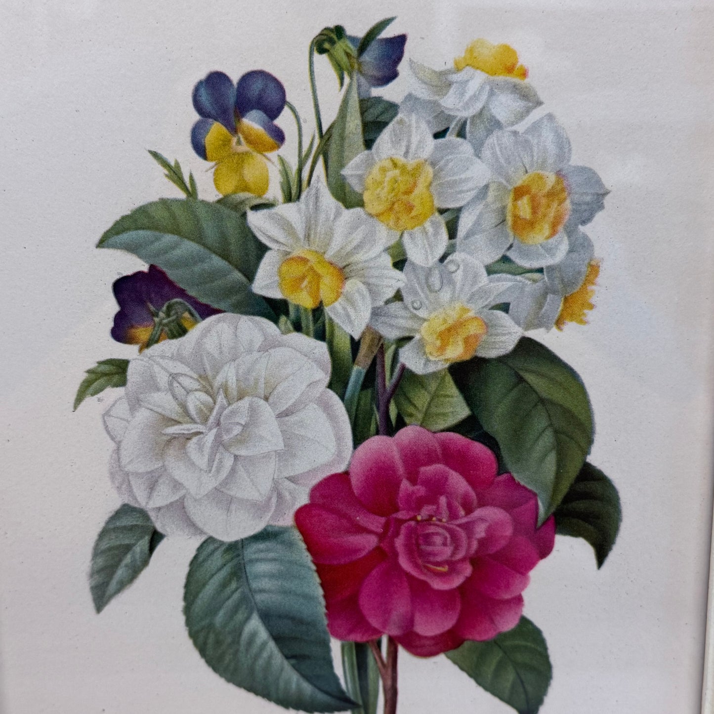 Pierre-Joseph Redouté
Floral Prints, Framed Set of 2