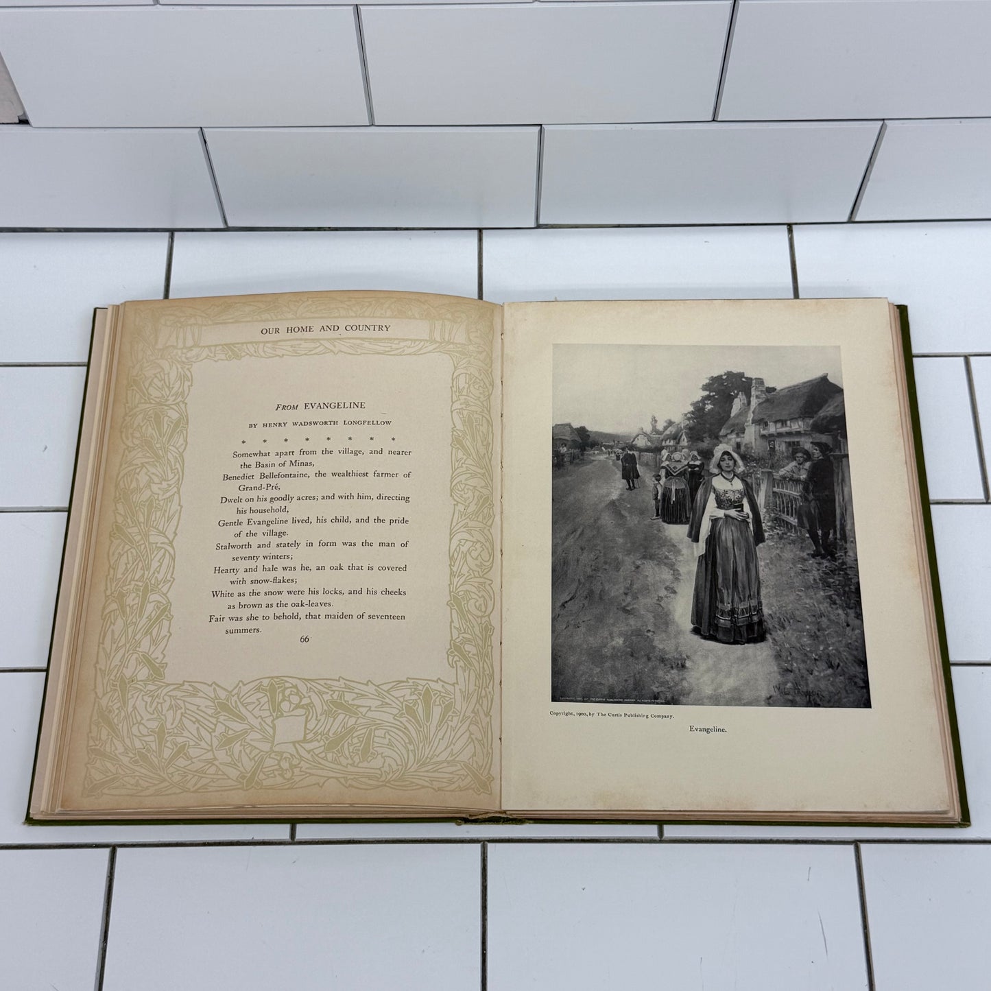 Our Home and Country W.L. Taylor Illustrated Book 1908 First Ed