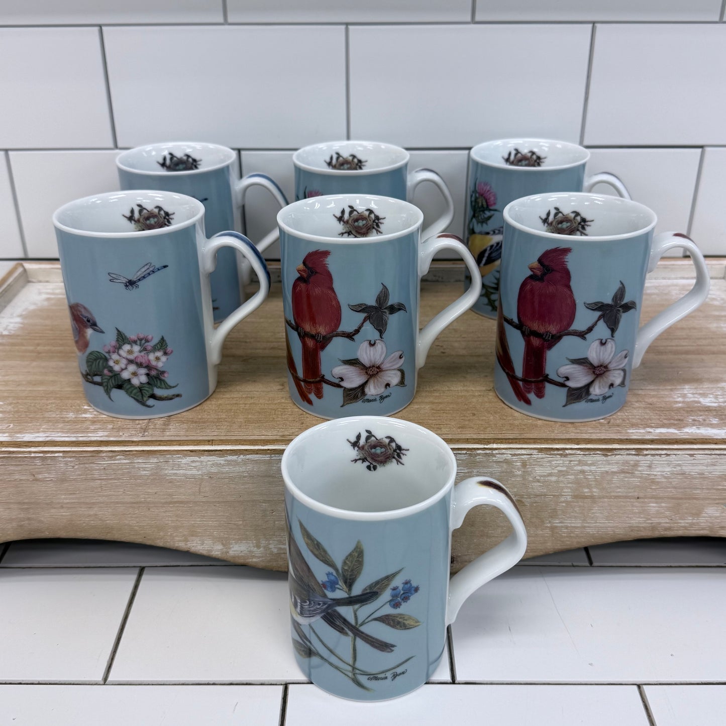 Inhesion Garden Birds Mug Set of 7 by Maria Ryan Porcelain