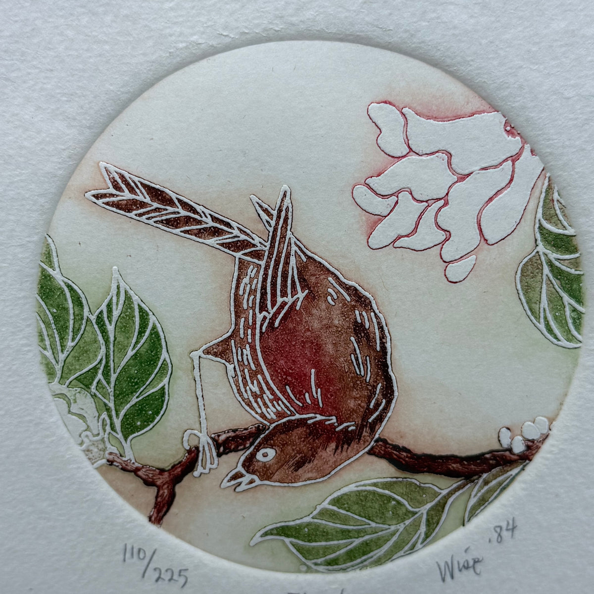 Finch Bird Etching Signed Limited Edition 110/225 Vintage 1984