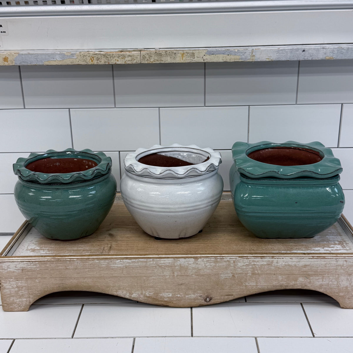 Self Watering Planter Selection