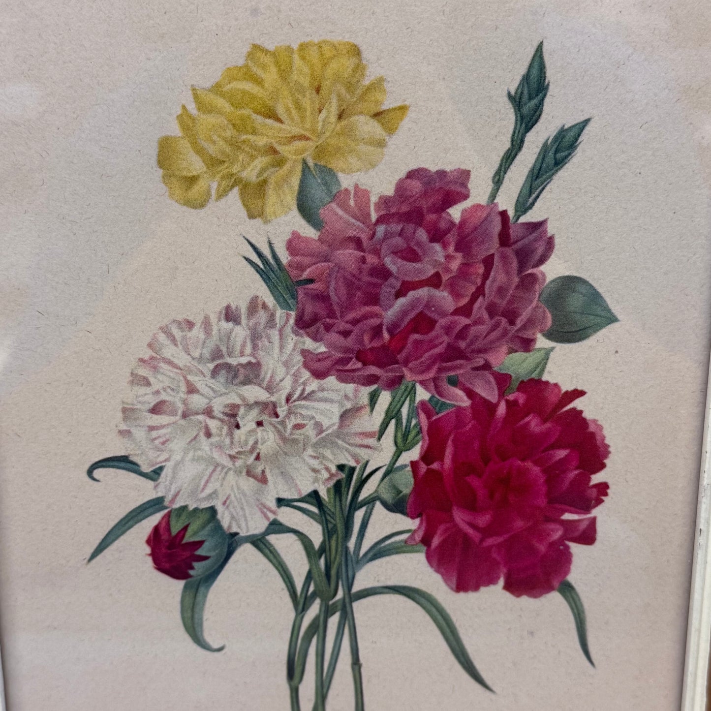 Pierre-Joseph Redouté
Floral Prints, Framed Set of 2