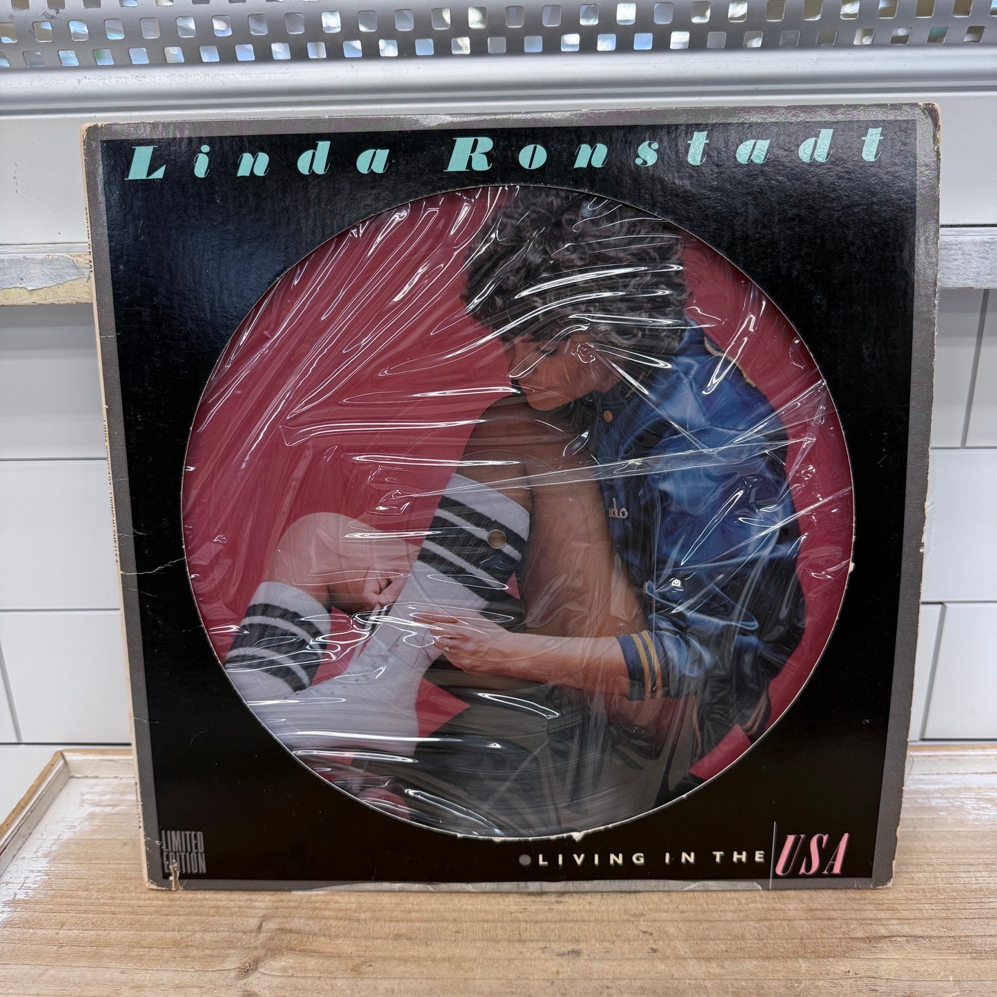 Linda Ronstadt Living in the USA Picture Disc Vinyl Record LP 1978