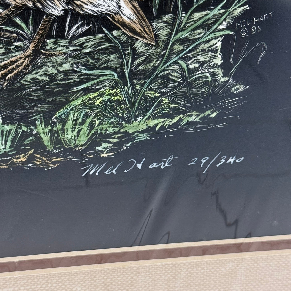 Mel Hart Mr. Bob Quail Signed Limited Edition Print 29/340 1986