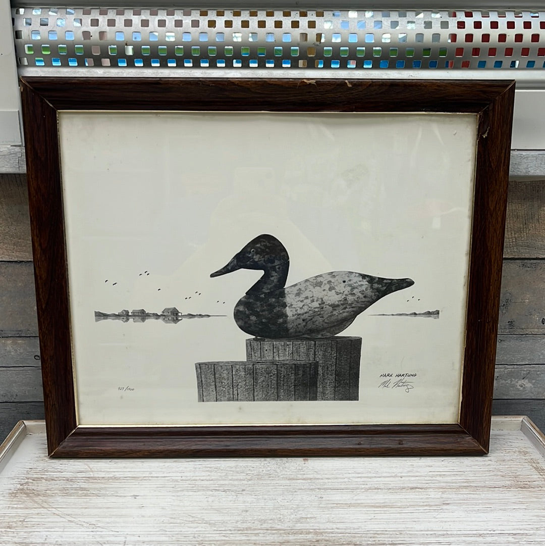 Waterfowl Sketch Collection, Signed & Numbered