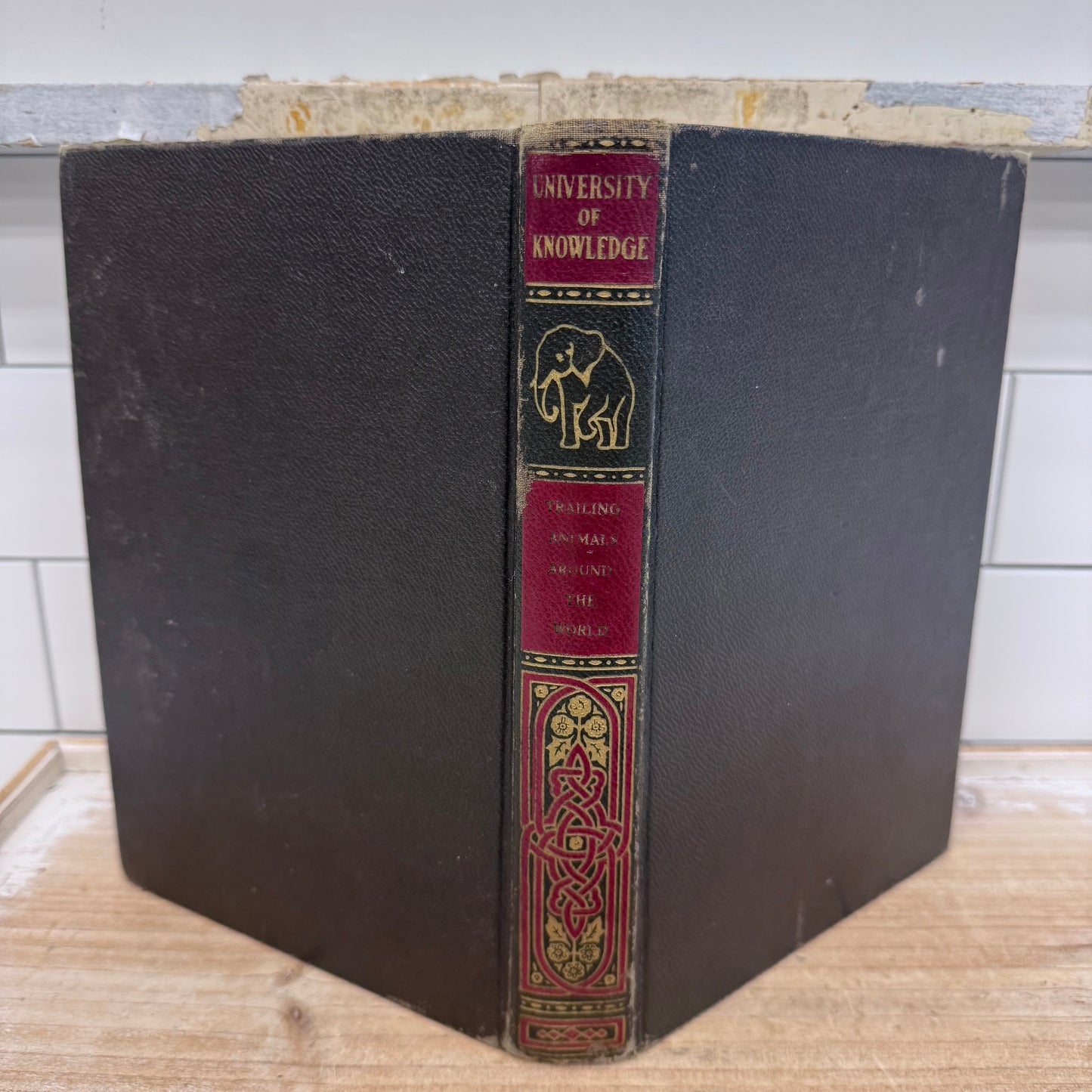 Vintage Hardback Book Collection 1900s–1970s