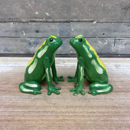 Frog Friends Salt & Pepper Set
