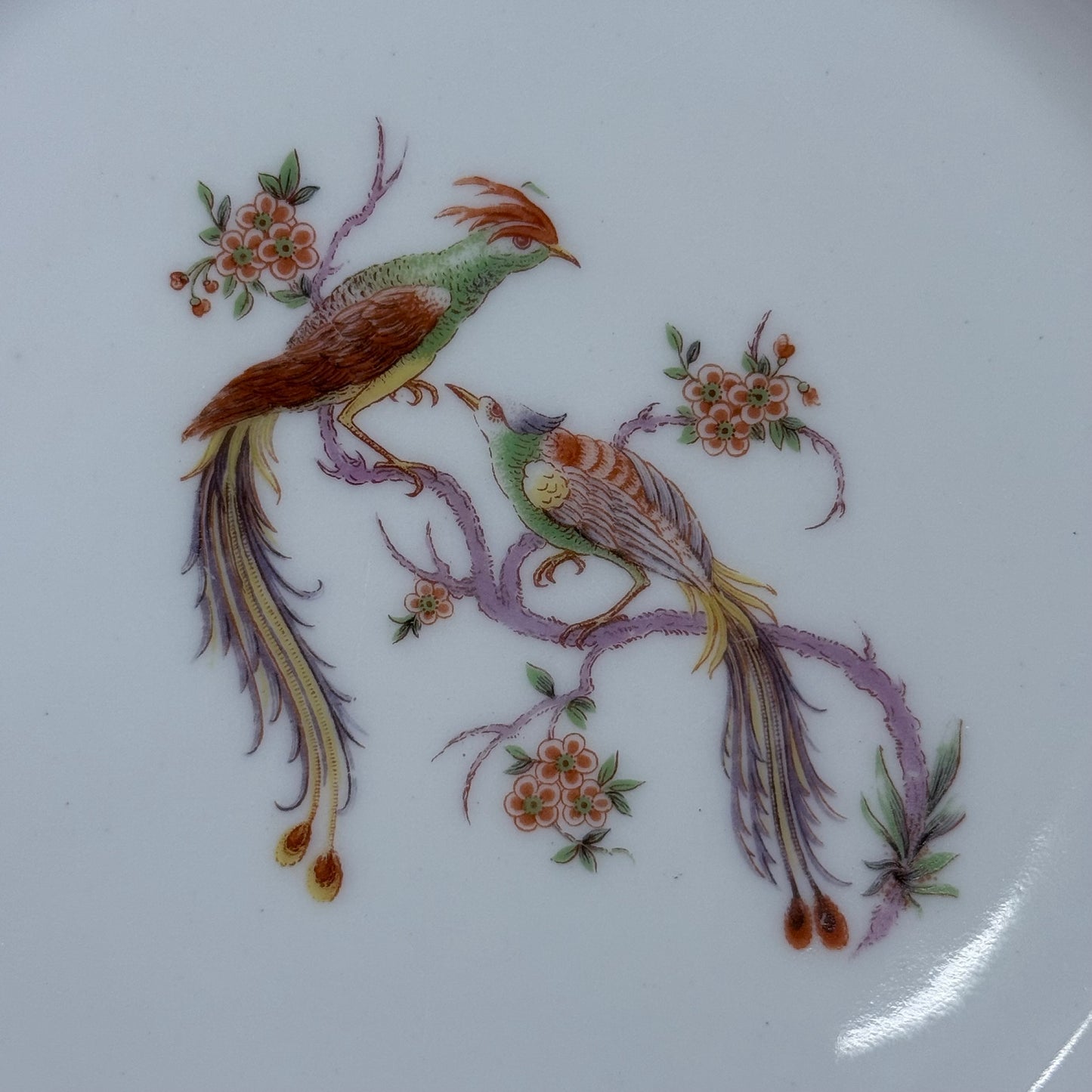 Bawo & Dotter Elite Works Limoges Bird Plate France 1900s