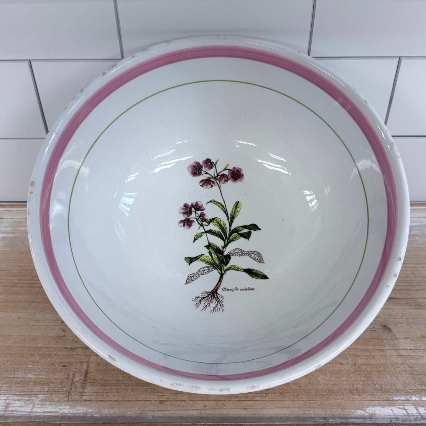 La Primula Italy Chimaphila Botanical Ceramic Serving Bowl 11”