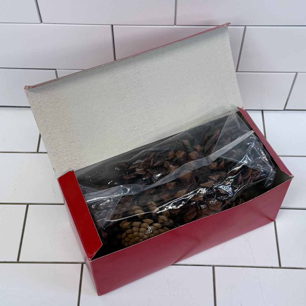 Colonial Williamsburg Cinnamon Scented Pine Cones Boxed