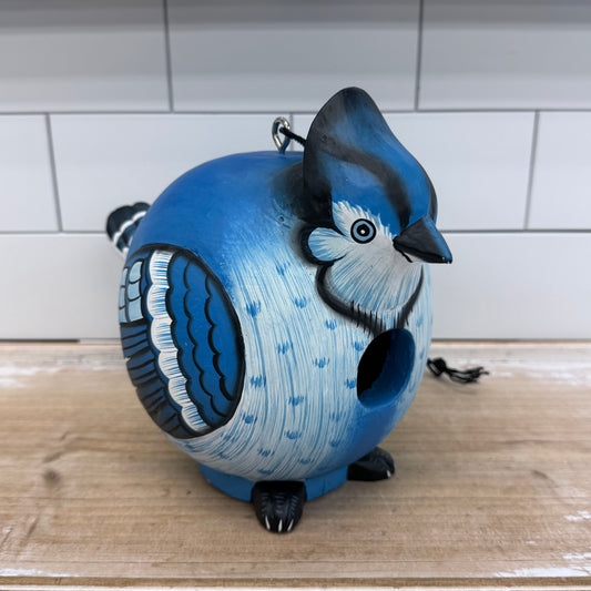 Blue Jay Gord-O Birdhouse