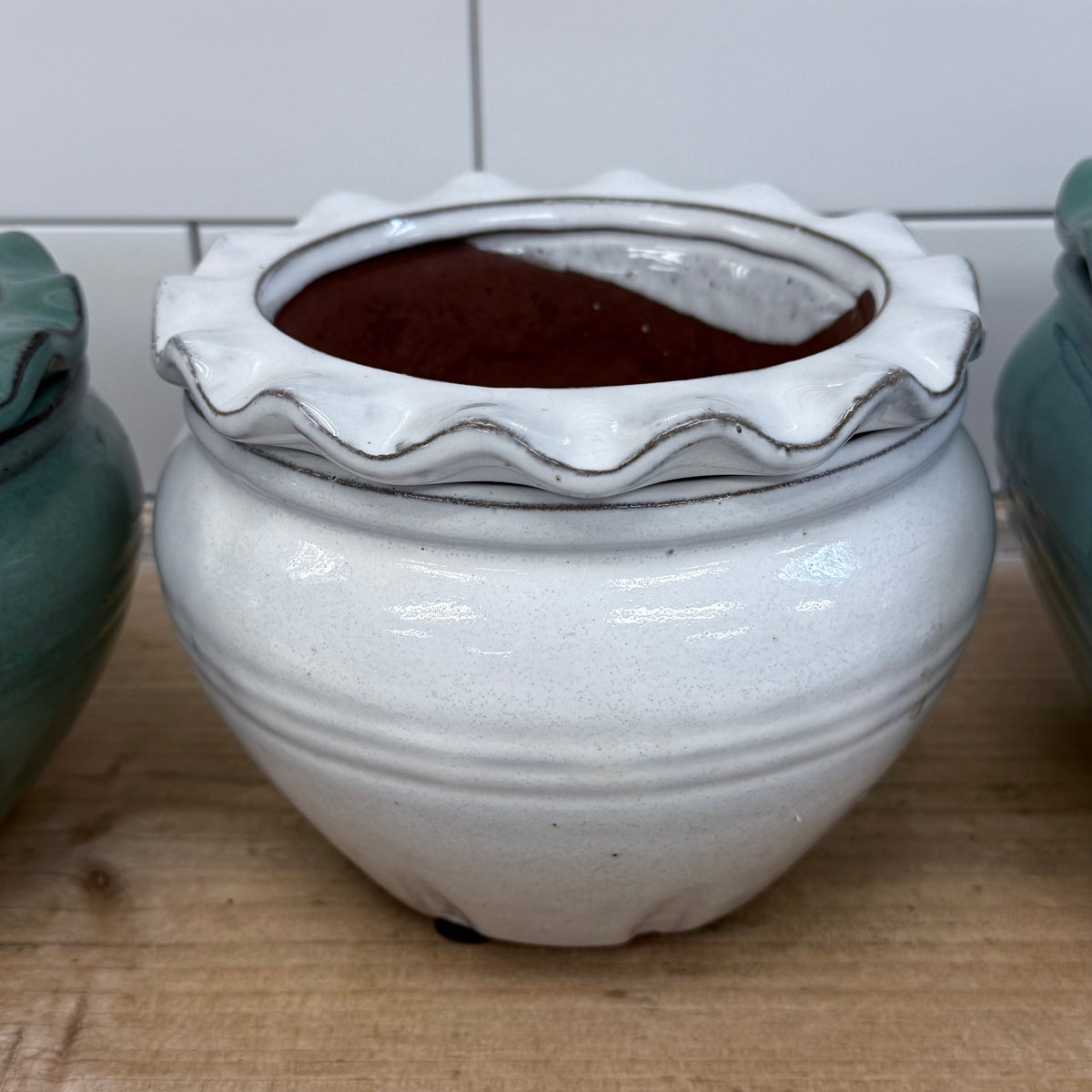 Self Watering Planter Selection