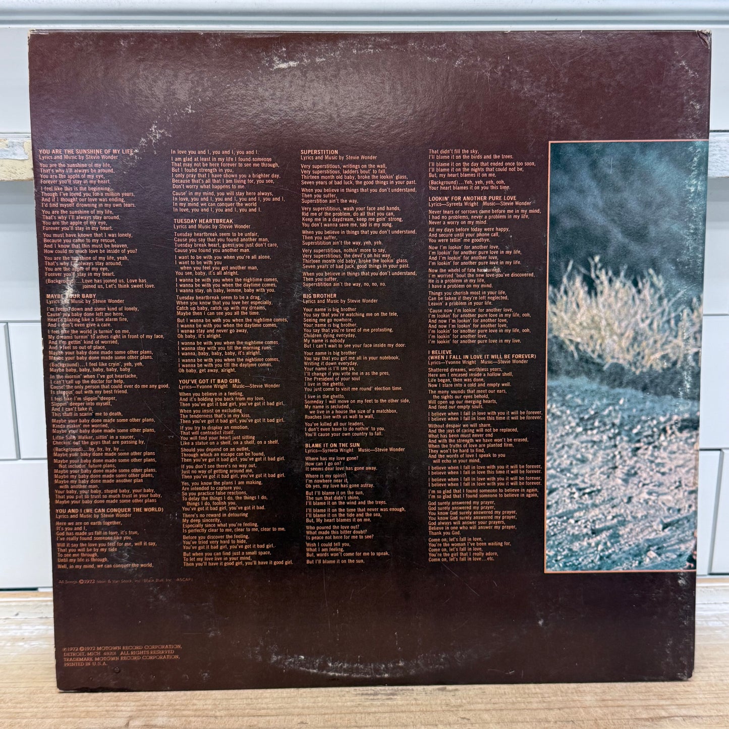 Stevie Wonder Talking Book Vinyl Record LP 1972 Tamla #T 319L