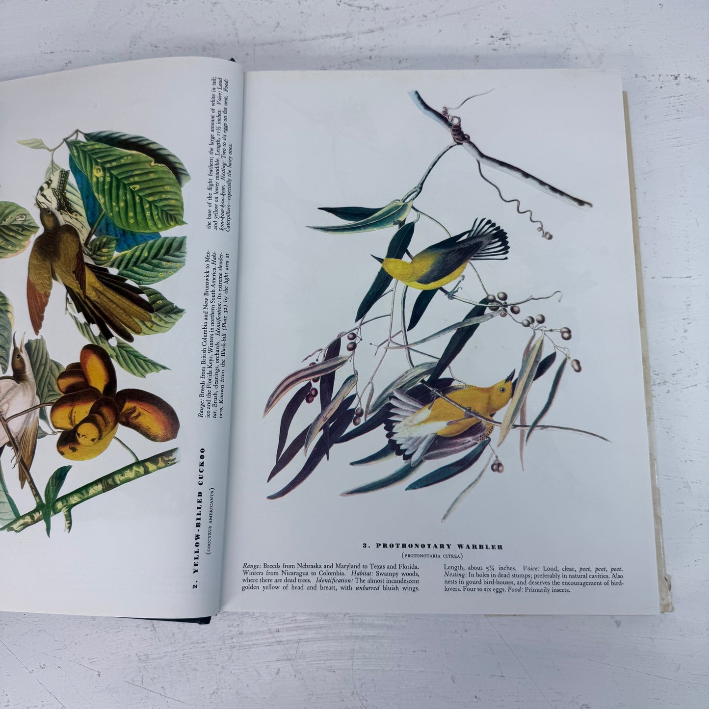 John James Audubon The Birds of America Hardback, 1985 Ed.
