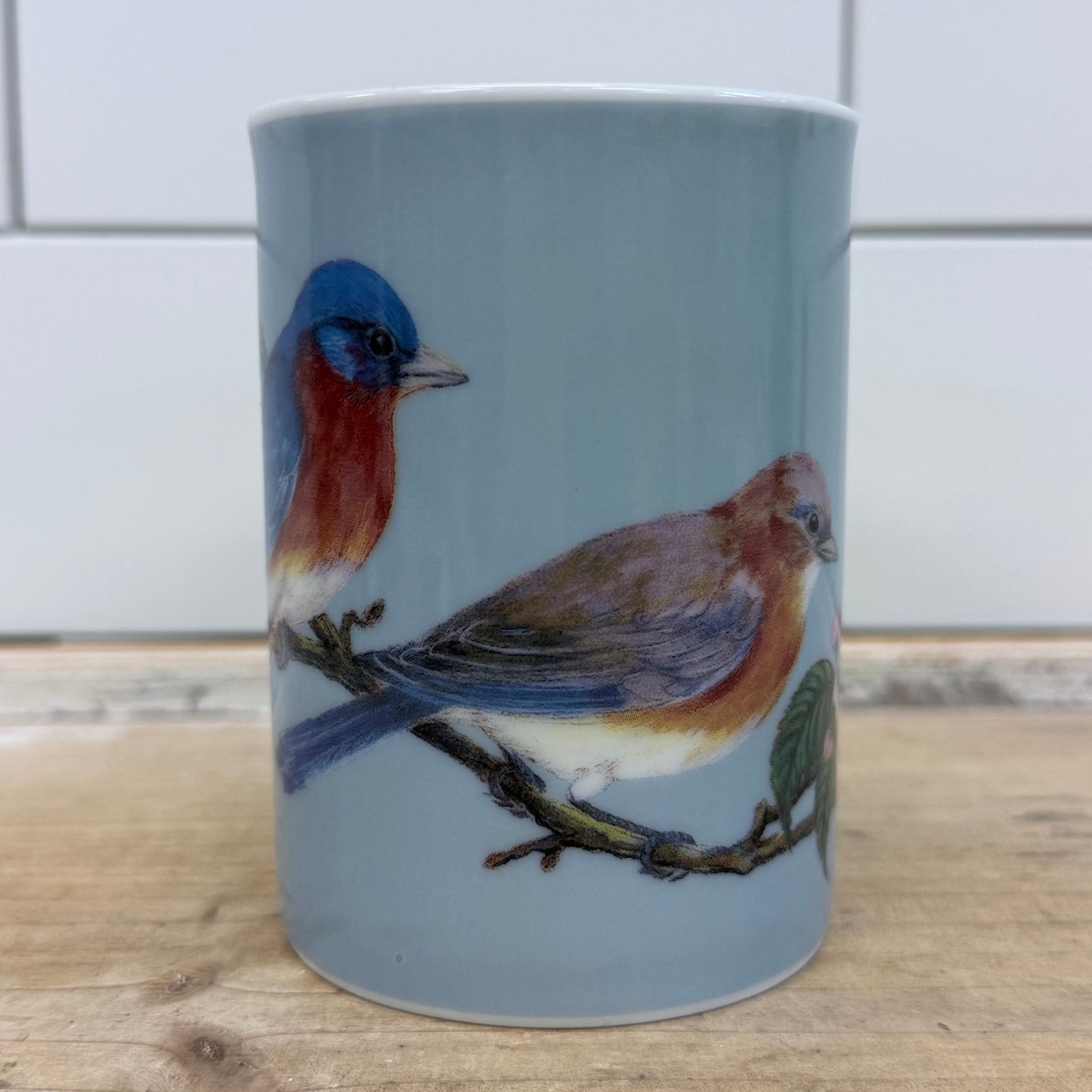 Inhesion Garden Birds Mug Set of 7 by Maria Ryan Porcelain