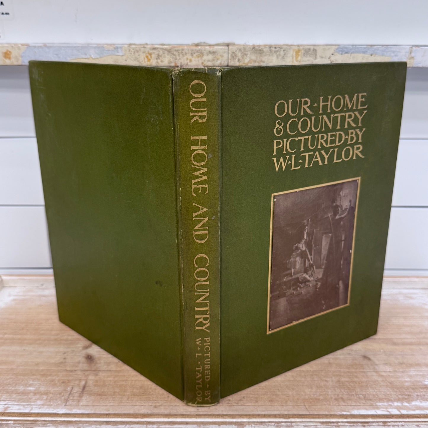 Our Home and Country W.L. Taylor Illustrated Book 1908 First Ed