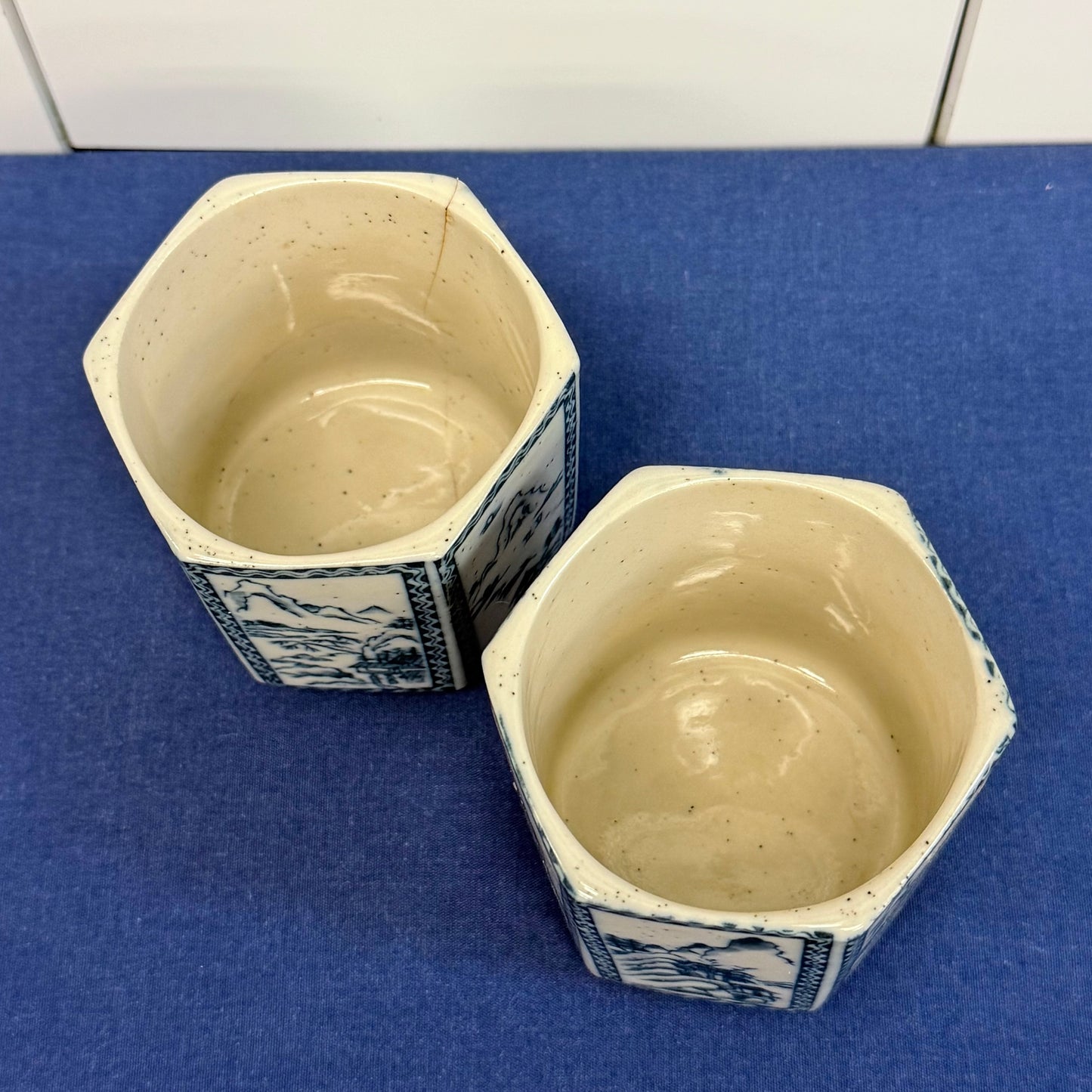 Blue White Landscape Porcelain Tea Set